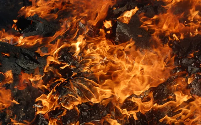 Firebase Firestore